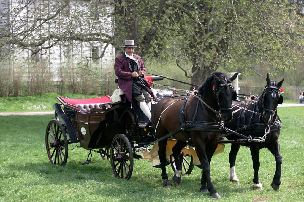 Stadtrundfahrten in Weimar